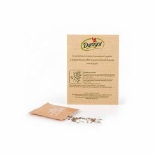 Graines en sachet kraft ou blanc cadeau ecologique maroc